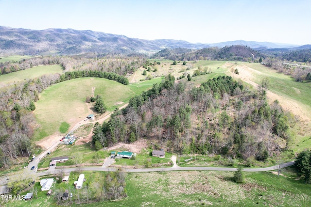887 Mill Creek Rd, Mountain City, TN 37683 - photo 30