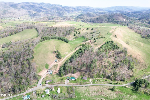 887 Mill Creek Rd, Mountain City, TN 37683 - photo 32