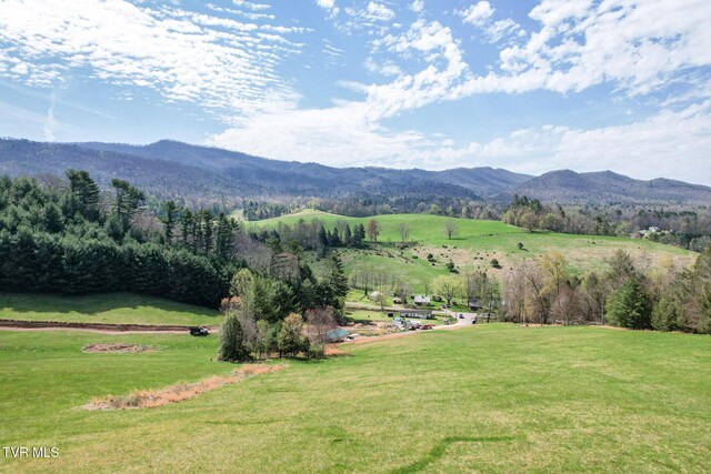 887 Mill Creek Rd, Mountain City, TN 37683 - photo 38