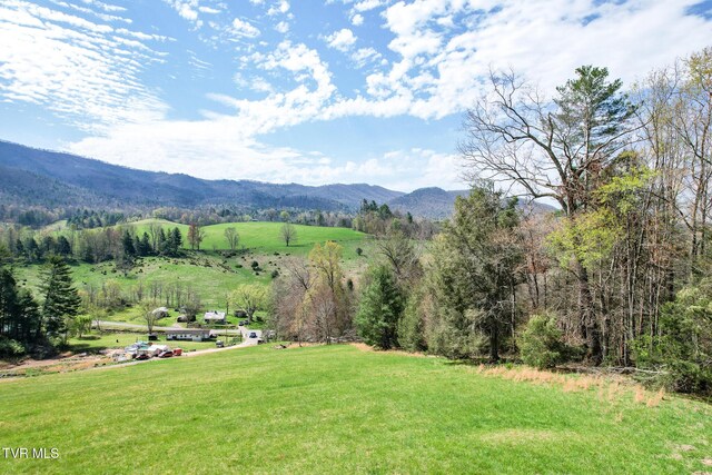 887 Mill Creek Rd, Mountain City, TN 37683 - photo 39