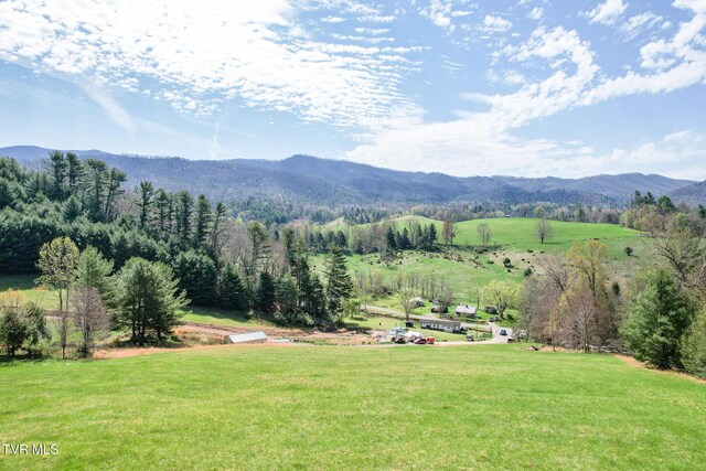 887 Mill Creek Rd, Mountain City, TN 37683 - photo 3
