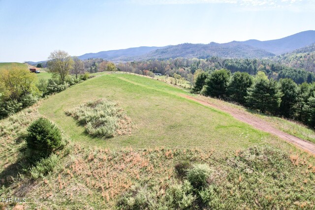 887 Mill Creek Rd, Mountain City, TN 37683 - photo 43