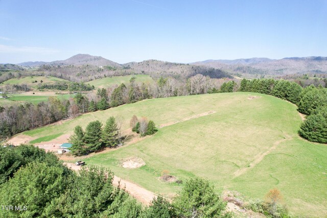 887 Mill Creek Rd, Mountain City, TN 37683 - photo 6