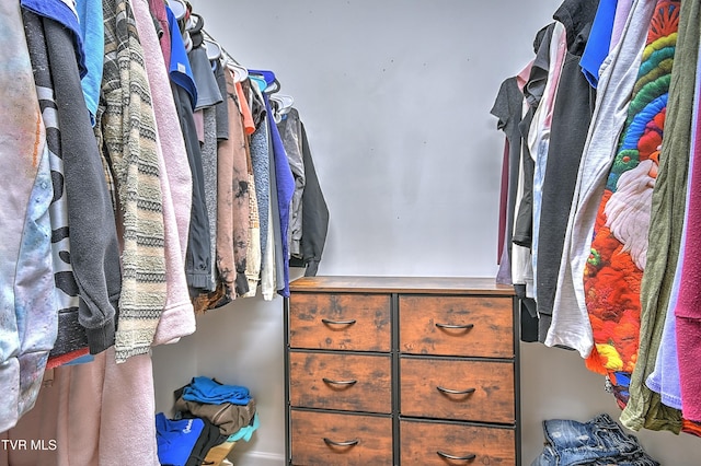 305 Waterford Ct Unit 305, Johnson City, TN 37615 - view of spacious closet