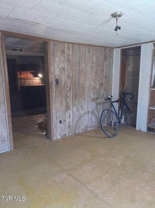 basement with wood walls and a fireplace