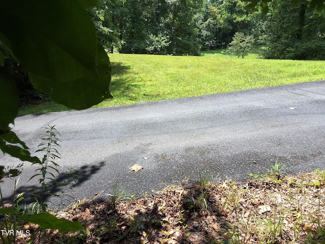 0 Arnold Palmer Dr, Greeneville, TN 37743 - photo 18