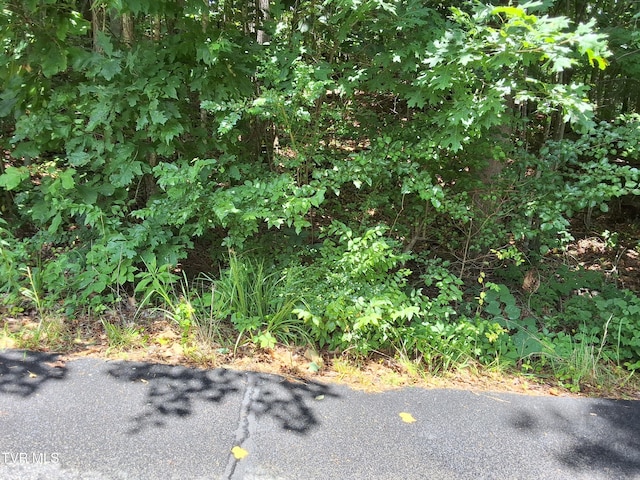 0 Arnold Palmer Dr, Greeneville, TN 37743 - photo 19