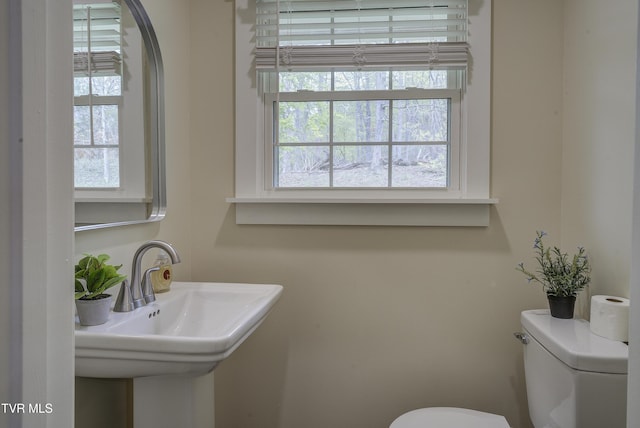 368 New Hope Rd, Jonesborough, TN 37659 - half bathroom with toilet and a sink