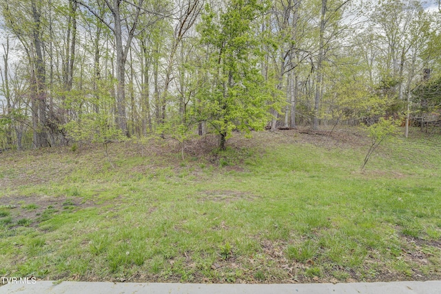 368 New Hope Rd, Jonesborough, TN 37659 - view of yard featuring a view of trees