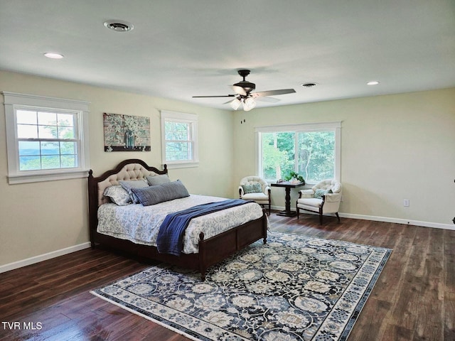 368 New Hope Rd, Jonesborough, TN 37659 - bedroom featuring wood finished floors, recessed lighting, and ceiling fan