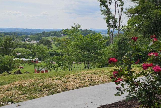 368 New Hope Rd, Jonesborough, TN 37659 - view of yard