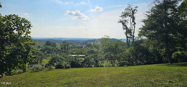 368 New Hope Rd, Jonesborough, TN 37659 - view of mountain background