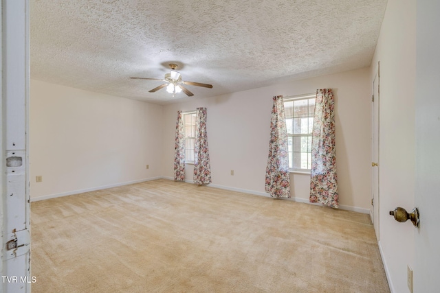 1736 Jellicorse Rd, Morristown, TN 37814 - photo 14