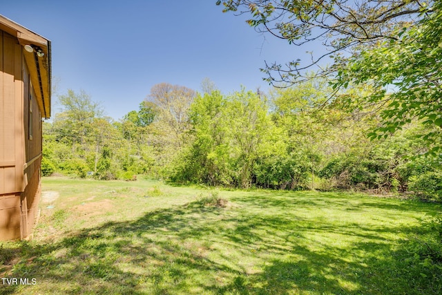 1736 Jellicorse Rd, Morristown, TN 37814 - photo 24