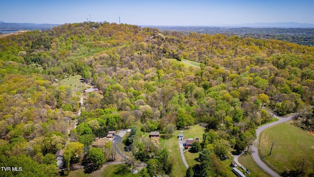 1736 Jellicorse Rd, Morristown, TN 37814 - photo 27