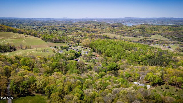 1736 Jellicorse Rd, Morristown, TN 37814 - photo 28