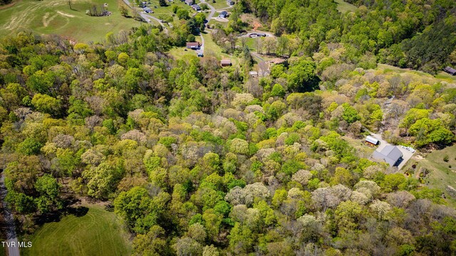 1736 Jellicorse Rd, Morristown, TN 37814 - photo 29