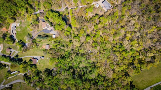 1736 Jellicorse Rd, Morristown, TN 37814 - photo 30