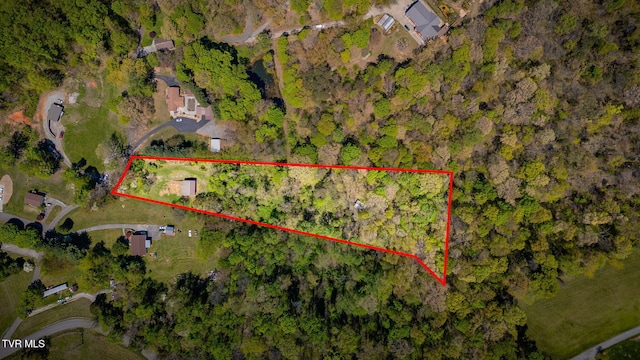 1736 Jellicorse Rd, Morristown, TN 37814 - photo 31