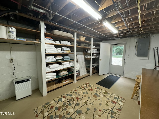 basement with electric panel