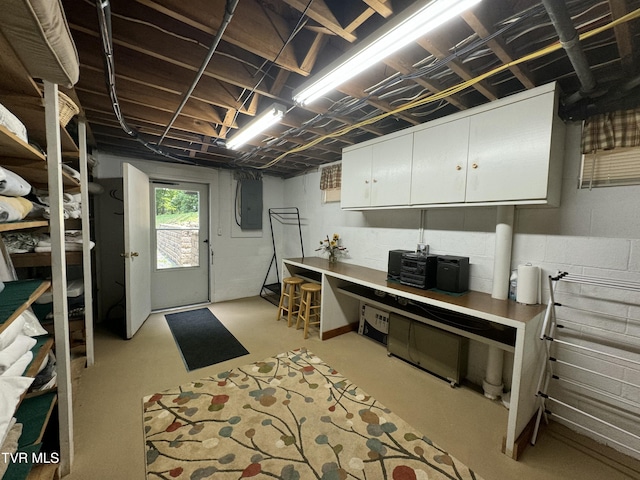 below grade area with electric panel and concrete block wall