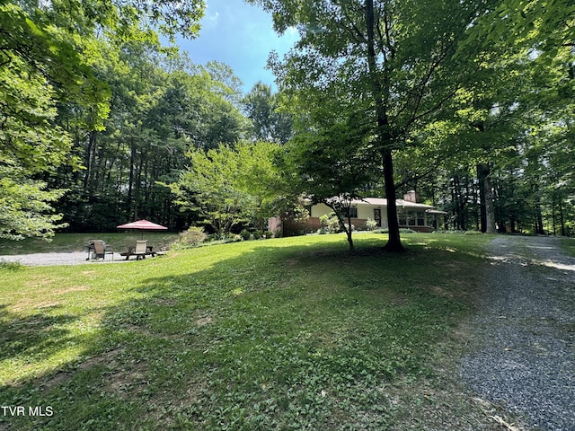 view of yard