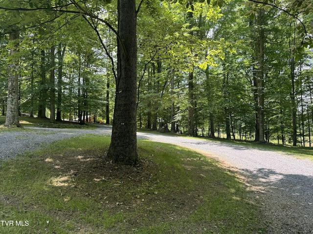 surrounding community featuring a forest view
