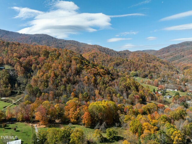 140 Doe Ln, Roan Mountain, TN 37687