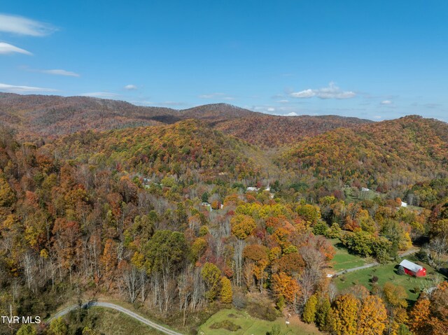 140 Doe Ln, Roan Mountain, TN 37687