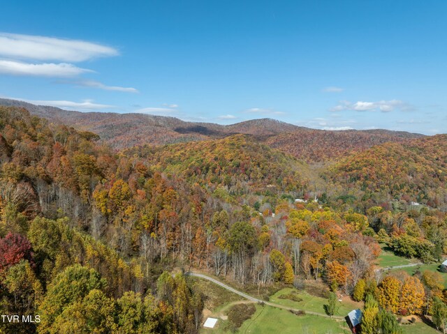 140 Doe Ln, Roan Mountain, TN 37687