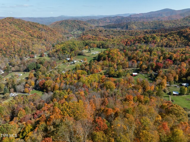 140 Doe Ln, Roan Mountain, TN 37687