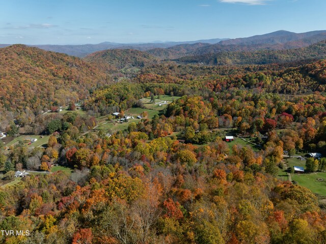 140 Doe Ln, Roan Mountain, TN 37687