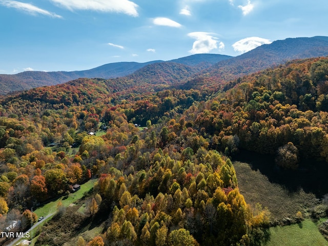 140 Doe Ln, Roan Mountain, TN 37687