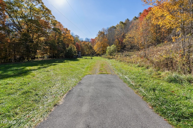 140 Doe Ln, Roan Mountain, TN 37687