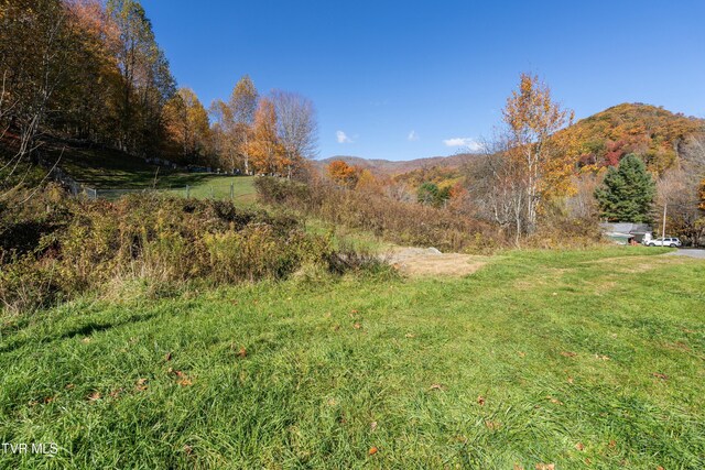 140 Doe Ln, Roan Mountain, TN 37687