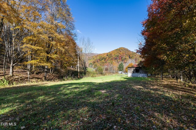 140 Doe Ln, Roan Mountain, TN 37687