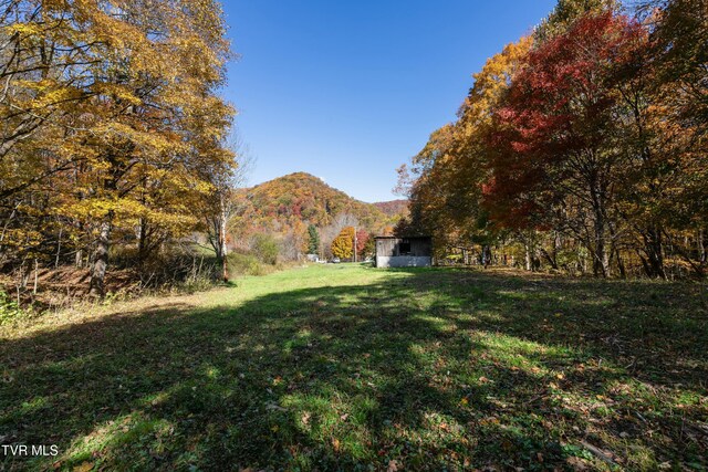 140 Doe Ln, Roan Mountain, TN 37687