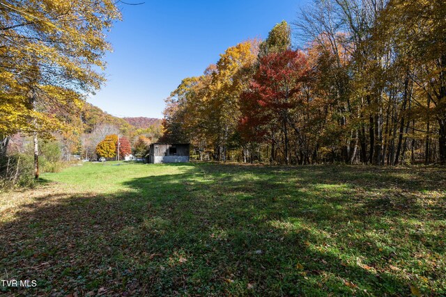 140 Doe Ln, Roan Mountain, TN 37687