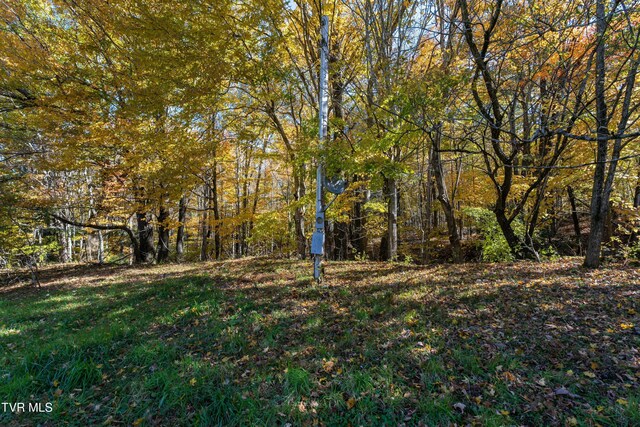 140 Doe Ln, Roan Mountain, TN 37687