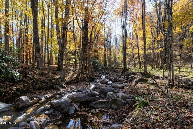 140 Doe Ln, Roan Mountain, TN 37687