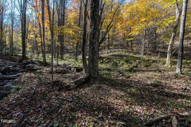 140 Doe Ln, Roan Mountain, TN 37687