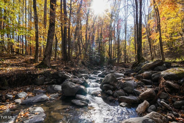 140 Doe Ln, Roan Mountain, TN 37687