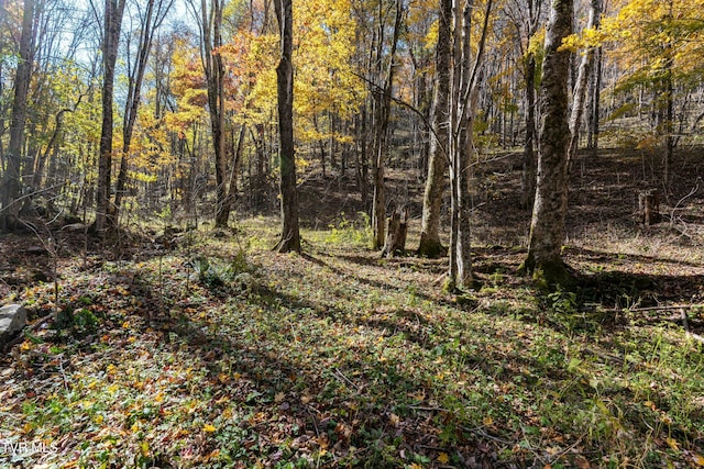 140 Doe Ln, Roan Mountain, TN 37687