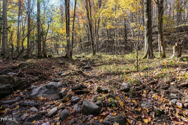 140 Doe Ln, Roan Mountain, TN 37687