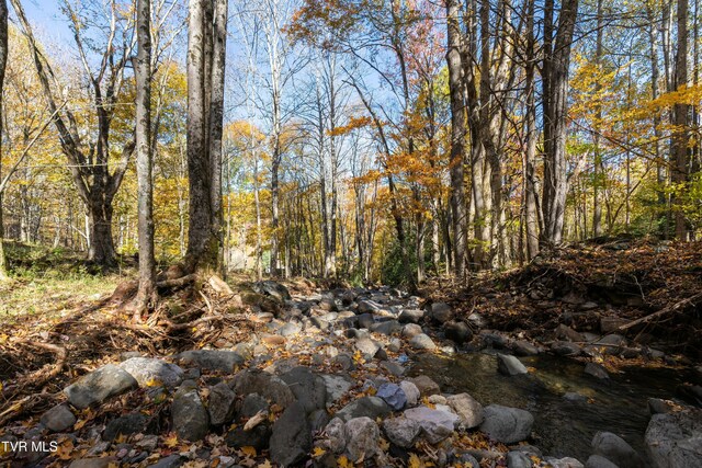 140 Doe Ln, Roan Mountain, TN 37687