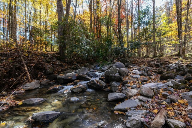 140 Doe Ln, Roan Mountain, TN 37687