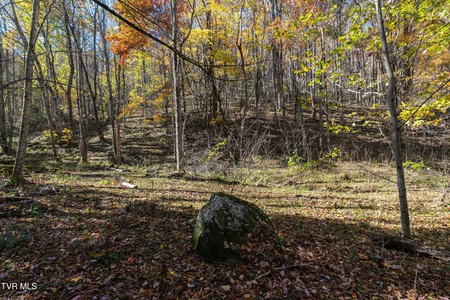 140 Doe Ln, Roan Mountain, TN 37687
