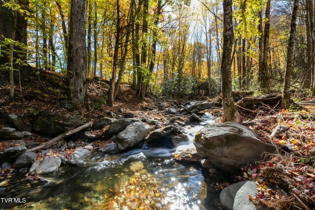 140 Doe Ln, Roan Mountain, TN 37687