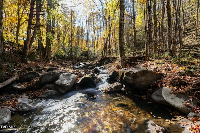 140 Doe Ln, Roan Mountain, TN 37687