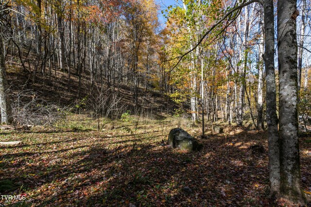 140 Doe Ln, Roan Mountain, TN 37687